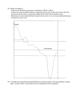 28.- Observa el dibujo y:
     · Utiliza el eje de abscisas para situar la altitud de 1.000 en 1.000 m.
     · Colorea las cimas nevadas de blanco, el agua del mar de azul, la tierra por encima del nivel
       del mar de marrón claro y la tierra por debajo del nivel del mar de marrón oscuro.
     · Determina las zonas donde habitan la mayoría de los seres vivos y las zonas donde disminuye
       el número de seres vivos.




29.- A medida que alcanzamos más profundidad en el medio acuático, hay menos plantas y menos
     algas. ¿A qué se debe? ¿Cómo afecta esto a la distribución de los animales?
 