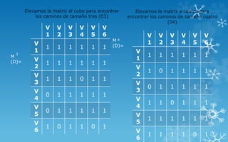 V
1
V
2
V
3
V
4
V
5
V
6
V
1
1 1 1 1 1 1
V
2
1 1 1 1 1 1
V
3
1 1 1 0 1 1
V
4
0 1 1 1 1 1
V
5
0 1 1 1 1 1
V
6
1 0 1 1 0 1
V
1
V
2
V
3
V
4
V
5
V
6
V
1
1 1 1 1 1 1
V
2
1 0 1 1 1 1
V
3
0 1 1 1 1 1
V
4
1 1 0 1 1 1
V
5
1 1 1 1 1 1
V
6
1 1 1 1 0 1
Elevamos la matriz a cuatro para
encontrar los caminos de tamaño cuatro
(04)
M
(D)=
4
Elevamos la matriz al cubo para encontrar
los caminos de tamaño tres (03)
M
(D)=
3
 