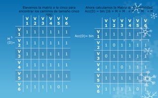 V
1
V
2
V
3
V
4
V
5
V
6
V
1
1 1 1 1 1 1
V
2
1 1 1 1 1 1
V
3
1 1 1 1 1 1
V
4
1 1 1 1 1 1
V
5
1 1 1 1 1 1
V
6
1 1 1 1 0 1
V
1
V
2
V
3
V
4
V
5
V
6
V
1
1 1 1 1 1 1
V
2
1 0 1 1 1 1
V
3
0 1 1 1 1 1
V
4
1 1 0 1 1 1
V
5
1 1 1 1 1 1
V
6
1 1 1 1 0 1
Ahora calculamos la Matriz de Accesibilidad
Acc(D) = bin [I6 + M + M + M + M + M
]
Elevamos la matriz a la cinco para
encontrar los caminos de tamaño cinco
(05)
M
(D)=
5
2 3 4 5
Acc(D)= bin
 