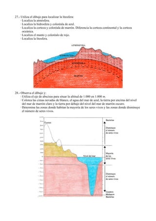 27.- Utiliza el dibujo para localizar la litosfera:
     · Localiza la atmósfera.
     · Localiza la hidrosfera y coloréala de azul.
     · Localiza la corteza y coloréala de marrón. Diferencia la corteza continental y la corteza
       oceánica.
     · Localiza el manto y coloréalo de rojo.
     · Localiza la litosfera.




28.- Observa el dibujo y:
     · Utiliza el eje de abscisas para situar la altitud de 1.000 en 1.000 m.
     · Colorea las cimas nevadas de blanco, el agua del mar de azul, la tierra por encima del nivel
       del mar de marrón claro y la tierra por debajo del nivel del mar de marrón oscuro.
     · Determina las zonas donde habitan la mayoría de los seres vivos y las zonas donde disminuye
       el número de seres vivos.
 