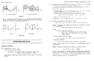Ejercicios schaum algebra_lineal