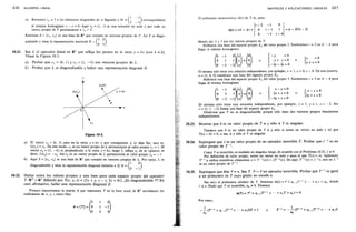 Ejercicios schaum algebra_lineal
