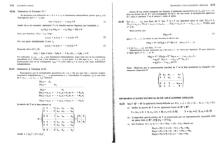 Ejercicios schaum algebra_lineal