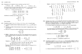Ejercicios schaum algebra_lineal