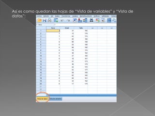 Así es como quedan las hojas de “Vista de variables” y “Vista de
datos”:
 