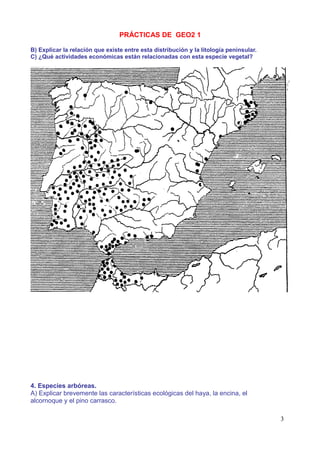 PRÁCTICAS DE GEO2 1

B) Explicar la relación que existe entre esta distribución y la litología peninsular.
C) ¿Qué actividades económicas están relacionadas con esta especie vegetal?




4. Especies arbóreas.
A) Explicar brevemente las características ecológicas del haya, la encina, el
alcornoque y el pino carrasco.

                                                                                        3
 