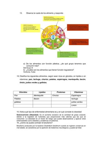 13. Observa la rueda de los alimento y responde: 
a) De los alimentos con función plástica, ¿de qué grupo tenemos que 
con...
