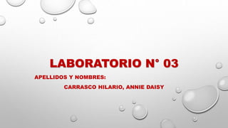 LABORATORIO N° 03
APELLIDOS Y NOMBRES:
CARRASCO HILARIO, ANNIE DAISY
 