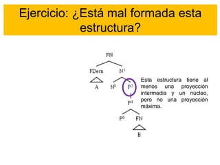 Ejercicio: ¿Está mal formada esta
estructura?
Esta estructura tiene al
menos una proyección
intermedia y un núcleo,
pero no una proyección
máxima.
