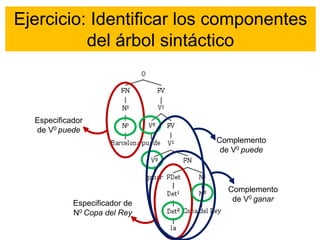 Ejercicio: Identificar los componentes
del árbol sintáctico
Especificador
de V0 puede
Especificador de
N0 Copa del Rey
Complemento
de V0 puede
Complemento
de V0 ganar