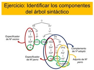 Ejercicio: Identificar los componentes
del árbol sintáctico
Especificador
de N0 vecino
Especificador
de N0 perro
Complemento
de V0 adoptó
Adjunto de N0
perro