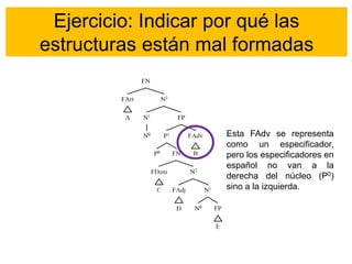 Ejercicio: Indicar por qué las
estructuras están mal formadas
Esta FAdv se representa
como un especificador,
pero los especificadores en
español no van a la
derecha del núcleo (P0)
sino a la izquierda.