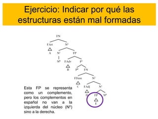 Ejercicio: Indicar por qué las
estructuras están mal formadas
Esta FP se representa
como un complemento,
pero los complementos en
español no van a la
izquierda del núcleo (N0)
sino a la derecha.