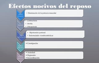 Efectos nocivos del reposo
 