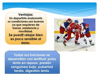 Ventajas:
 Un deportista endomorfo
su condiciones son buenas
   ya que requieren de
    fuerza, resistencia y
         movilidad.
Se puedE relajar bien
 es poco sensible al
       dolor.


   Todas sus funciones se
desarrollan con lentitud: pulso
  lento en reposo, presión
 sanguínea baja, pubertad
   tardía, digestión lenta.
 
