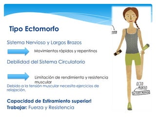 Tipo Ectomorfo
Sistema Nervioso y Largos Brazos
               Movimientos rápidos y repentinos

Debilidad del Sistema Circulatorio


               Limitación de rendimiento y resistencia
               muscular
Debido a la tensión muscular necesita ejercicios de
relajación.


Capacidad de Estiramiento superior!
Trabajar: Fuerza y Resistencia
 
