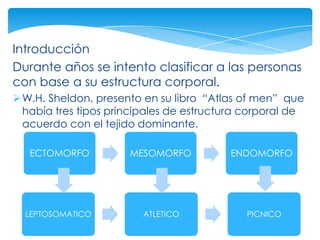 Introducción
Durante años se intento clasificar a las personas
con base a su estructura corporal.
 W.H. Sheldon, presento en su libro “Atlas of men” que
  había tres tipos principales de estructura corporal de
  acuerdo con el tejido dominante.

   ECTOMORFO          MESOMORFO          ENDOMORFO




  LEPTOSOMATICO          ATLETICO            PICNICO
 