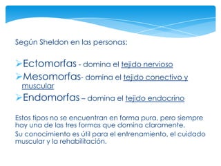 Según Sheldon en las personas:


Ectomorfas - domina el tejido nervioso
Mesomorfas- domina el tejido conectivo y
 muscular
Endomorfas – domina el tejido endocrino
Estos tipos no se encuentran en forma pura, pero siempre
hay una de las tres formas que domina claramente.
Su conocimiento es útil para el entrenamiento, el cuidado
muscular y la rehabilitación.
 
