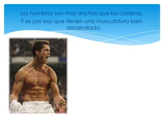 Los hombros son mas anchos que las caderas.
Y es por eso que tienen una musculatura bien
                 desarrollada.
 