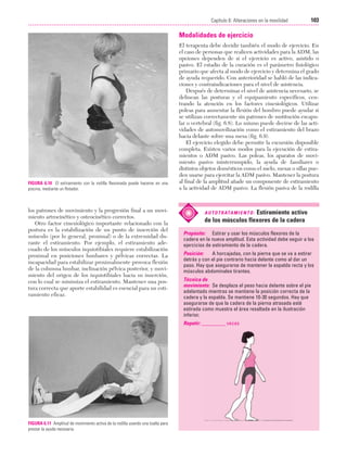Cap. 06

23/3/06

20:39

Página 103

103
Capítulo 6: Alteraciones en la movilidad
....................................................................................................................................................

Modalidades de ejercicio

FIGURA 6.10 El estiramiento con la rodilla flexionada puede hacerse en una
piscina, mediante un flotador.

los patrones de movimiento y la progresión final a un movimiento artrocinético y osteocinético correctos.
Otro factor cinesiológico importante relacionado con la
postura es la estabilización de un punto de inserción del
músculo (por lo general, proximal) o de la extremidad durante el estiramiento. Por ejemplo, el estiramiento adecuado de los músculos isquiotibiales requiere estabilización
proximal en posiciones lumbares y pélvicas correctas. La
incapacidad para estabilizar proximalmente provoca flexión
de la columna lumbar, inclinación pélvica posterior, y movimiento del origen de los isquiotibiales hacia su inserción,
con lo cual se minimiza el estiramiento. Mantener una postura correcta que aporte estabilidad es esencial para un estiramiento eficaz.

El terapeuta debe decidir también el modo de ejercicio. En
el caso de personas que realicen actividades para la ADM, las
opciones dependen de si el ejercicio es activo, asistido o
pasivo. El estadio de la curación es el parámetro fisiológico
primario que afecta al modo de ejercicio y determina el grado
de ayuda requerido. Con anterioridad se habló de las indicaciones y contraindicaciones para el nivel de asistencia.
Después de determinar el nivel de asistencia necesario, se
delinean las posturas y el equipamiento específicos, centrando la atención en los factores cinesiológicos. Utilizar
poleas para aumentar la flexión del hombro puede ayudar si
se utilizan correctamente sin patrones de sustitución escapular o vertebral (fig. 6.8). Lo mismo puede decirse de las actividades de automovilización como el estiramiento del brazo
hacia delante sobre una mesa (fig. 6.9).
El ejercicio elegido debe permitir la excursión disponible
completa. Existen varios modos para la ejecución de estiramientos o ADM pasivo. Las poleas, los aparatos de movimiento pasivo ininterrumpido, la ayuda de familiares o
distintos objetos domésticos como el suelo, mesas o sillas pueden usarse para ejercitar la ADM pasivo. Mantener la postura
al final de la amplitud añade un componente de estiramiento
a la actividad de ADM pasivo. La flexión pasiva de la rodilla

Estiramiento activo
de los músculos flexores de la cadera

A U T O T R ATA M I E N T O :

Propósito: Estirar y usar los músculos flexores de la
cadera en la nueva amplitud. Esta actividad debe seguir a los
ejercicios de estiramiento de la cadera.
Posición:
A horcajadas, con la pierna que se va a estirar
detrás y con el pie contrario hacia delante como al dar un
paso. Hay que asegurarse de mantener la espalda recta y los
músculos abdominales tirantes.
Técnica de
movimiento: Se desplaza el peso hacia delante sobre el pie
adelantado mientras se mantiene la posición correcta de la
cadera y la espalda. Se mantiene 10-30 segundos. Hay que
asegurarse de que la cadera de la pierna atrasada esté
estirada como muestra el área resaltada en la ilustración
inferior.
Repetir: _________ veces

FIGURA 6.11 Amplitud de movimiento activa de la rodilla usando una toalla para
prestar la ayuda necesaria.

 