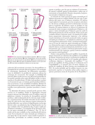 Cap. 07

23/3/06

20:38

Página 119

119
Capítulo 7: Alteraciones del equilibrio
....................................................................................................................................................
1. Visión normal.
Apoyo fijo.

2. Visión ausente.
Apoyo fijo.

3. Visión orientada
por el balanceo.
Apoyo fijo.

4. Visión normal.
Apoyo orientado
por el balanceo.

5. Visión ausente.
Apoyo orientado
por el balanceo.

6. Visión con apoyo
orientados por el
balanceo.

FIGURA 7.5 Seis situaciones para las pruebas de equilibrio. (A) De pie, tranquilamente, con los ojos abiertos. (B) De pie, tranquilamente, con los ojos cerrados.
(C) De pie con una caja visual y los ojos abiertos. (D) De pie, el cuerpo gira con el
balanceo corporal. (E) De pie sobre una plataforma rotatoria y con los ojos cerrados. (F) De pie sobre una plataforma rotatoria con una caja visual.

reducción del movimiento accesorio y los desequilibrios en
la longitud de los músculos alteran la postura y las estrategias
de movimiento. Igualmente, las deficiencias musculares
como la debilidad o la pérdida de resistencia alteran las
estrategias de movimiento. Por ejemplo, la debilidad del
músculo glúteo medio provoca una alteración predecible de
la marcha conocida como cojera del glúteo medio (es decir,
marcha en Trendelenburg). El dolor suele producir cambios
en el movimiento que, si continúa, puede producir deficiencias en la fuerza y en la movilidad secundarias. Muchas de
estas deficiencias pueden evaluarse usando medidas clínicas
sencillas como goniometría y pruebas musculares y funcionales.
La alteración del sistema sensorial puede provocar deficiencias en el equilibrio. Probar la organización sensorial
requiere sistemas más elaborados como el conflicto visual y la
plataforma rotatoria. La prueba de desequilibrio postural
combina y aísla la información de los sistemas visual, vestibular y somatosensorial.9 El estudio sistemático de las contribuciones de cada uno de estos sistemas requiere situaciones de
pruebas diferentes, que incluyen la bipedestación con los ojos
abiertos sobre una plataforma fija; la bipedestación con los
ojos vendados sobre una plataforma fija; el apoyo regido por
el balanceo ortostático, y la anulación de las aferencias visuales con apoyo orientado por el balanceo11 (fig. 7.5). En el
estado con los ojos vendados no hay contribución del sistema
visual. En la situación de visión orientada por el balanceo y
con apoyo fijo, la caja visual se movía cuando el paciente se
balanceaba, presentando un conflicto sensorial: el movi-

miento se produce, pero los ojos no registran el movimiento.
El sistema vestibular aporta la información e indica que el
movimiento se ha producido. Durante esta prueba, las personas normales se balancean muy poco.
La situación de visión normal con apoyo orientado por el
balanceo presentó un conflicto distinto. En este caso, la plataforma giró junto con el balanceo ortostático. El sistema
visual registró el movimiento, pero los receptores articulares
no. El sistema vestibular presentó la información necesaria
para la resolución. El balanceo mayor se produjo en esta
situación. El máximo balanceo se observó en situaciones de
ausencia de visión con apoyo orientados por el balanceo, y de
apoyo y visión orientados por el balanceo, para las cuales la
información provino de más de una fuente. Estar con los ojos
vendados eliminó el aferente visual, y la rotación de la plataforma proporcionó información imprecisa a los sistemas
visual y cinestésico en el caso de ausencia de visión con apoyo
orientado por el balanceo, y la plataforma rotatoria y la caja
visual aportaron información visual y somatosensorial imprecisa en el caso de visión con apoyo orientados por el balanceo. Estas pruebas sugieren que las personas dependen sobre
todo del sistema somatosensorial para la orientación y el control postural y que, cuando se eliminó la información visual y
somatosensorial o fue imprecisa, queda el sistema vestibular
para aportar control postural.6
Existen varias pruebas clínicas de equilibro. La prueba de
alcance funcional, la evaluación del equilibrio y la movilidad
de Tinetti, el timed get up and go y la prueba de equilibrio de
Berg se usan frecuentemente en la consulta para obtener
mediciones objetivas y funcionales del equilibrio.7,8,33 La
prueba de equilibrio de Berg puntúa el rendimiento de 0
(imposibilidad) a 4 (normal) para 14 tareas distintas. La
prueba de equilibrio de Berg muestra una sensibilidad del
53%. Es menos probable que los adultos mayores con una
puntuación superior en la prueba sufran caídas respecto a
quienes puntuaron menos de 45 puntos de los 56 posibles.34

FIGURA 7.6 Los rodillos de espuma se emplean en la postura bilateral cuando la
persona practica el desplazamiento del peso mientras atrapa un balón.

 
