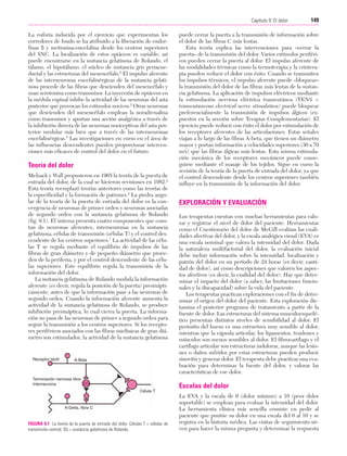 Cap. 09

23/3/06

20:36

Página 149

149
Capítulo 9: El dolor
....................................................................................................................................................
La euforia inducida por el ejercicio que experimentan los
corredores de fondo se ha atribuido a la liberación de endorfinas ß y metionina-encefalina desde los centros superiores
del SNC. La localización de estos opiáceos es variable; así
puede encontrarse en la sustancia gelatinosa de Rolando, el
tálamo, el hipotálamo, el núcleo de sustancia gris periacueductal y las estructuras del mesencéfalo.2 El impulso aferente
de las interneuronas encefalinérgicas de la sustancia gelatinosa procede de las fibras que descienden del mesencéfalo y
usan serotonina como transmisor. La inyección de opiáceos en
la médula espinal inhibe la actividad de las neuronas del asta
posterior que provocan los estímulos nocivos.2 Otras neuronas
que descienden del mesencéfalo emplean la noradrenalina
como transmisor y aportan una acción analgésica a través de
la inhibición directa de las neuronas nociceptivas del asta posterior medular más bien que a través de las interneuronas
encefalinérgicas.5 Las investigaciones en curso en el área de
las influencias descendentes pueden proporcionar intervenciones más eficaces de control del dolor en el futuro.

Teoría del dolor
Melzack y Wall propusieron en 1965 la teoría de la puerta de
entrada del dolor, de la cual se hicieron revisiones en 1982.2
Esta teoría reemplazó teorías anteriores como las teorías de
la especificidad y la formación de patrones.2 La piedra angular de la teoría de la puerta de entrada del dolor es la convergencia de neuronas de primer orden y neuronas asociadas
de segundo orden con la sustancia gelatinosa de Rolando
(fig. 9.1). El sistema presenta cuatro componentes que constan de neuronas aferentes, interneuronas en la sustancia
gelatinosa, células de transmisión (células T) y el control descendente de los centros superiores.7 La actividad de las células T se regula mediante el equilibrio de impulsos de las
fibras de gran diámetro y de pequeño diámetro que proceden de la periferia, y por el control descendente de las células superiores. Este equilibrio regula la transmisión de la
información del dolor.
La sustancia gelatinosa de Rolando modula la información
aferente (es decir, regula la posición de la puerta) presinápticamente, antes de que la información pase a las neuronas de
segundo orden. Cuando la información aferente aumenta la
actividad de la sustancia gelatinosa de Rolando, se produce
inhibición presináptica, lo cual cierra la puerta. La información no pasa de las neuronas de primer a segundo orden para
seguir la transmisión a los centros superiores. Si los receptores periféricos asociados con las fibras mielínicas de gran diámetro son estimulados, la actividad de la sustancia gelatinosa

Receptor táctil

A-Beta

Terminación nerviosa libre
Interneurona
Célula T

A-Delta, fibra C

FIGURA 9.1 La teoría de la puerta de entrada del dolor. Células T = células de
transmisión central; SG = sustancia gelatinosa de Rolando.

puede cerrar la puerta a la transmisión de información sobre
el dolor de las fibras C más lentas.
Esta teoría explica las intervenciones para «cerrar la
puerta» de la transmisión del dolor. Varios estímulos periféricos pueden cerrar la puerta al dolor. El impulso aferente de
las modalidades térmicas como la termoterapia y la crioterapia pueden reducir el dolor con éxito. Cuando se transmiten
los impulsos térmicos, el impulso aferente puede «bloquear»
la transmisión del dolor de las fibras más lentas de la sustancia gelatinosa. La aplicación de impulsos eléctricos mediante
la estimulación nerviosa eléctrica transcutánea (TENS =
transcutaneous electrical nerve stimulation) puede bloquear
preferencialmente la transmisión de impulsos álgicos (expuestos en la sección sobre Terapias Complementarias). El
ejercicio puede reducir con éxito el dolor por estimulación de
los receptores aferentes de las articulaciones. Estas señales
viajan a lo largo de las fibras A-beta, que tienen un diámetro
mayor y portan información a velocidades superiores (30 a 70
m/s) que las fibras álgicas más lentas. Esta misma estimulación mecánica de los receptores mecánicos puede conseguirse mediante el masaje de los tejidos. Sigue en curso la
revisión de la teoría de la puerta de entrada del dolor, ya que
el control descendente desde los centros superiores también
influye en la transmisión de la información del dolor.

EXPLORACIÓN Y EVALUACIÓN
Los terapeutas cuentan con muchas herramientas para valorar y registrar el nivel de dolor del paciente. Herramientas
como el Cuestionario del dolor de McGill evalúan las cualidades afectivas del dolor, y la escala analógica visual (EVA) es
una escala nominal que valora la intensidad del dolor. Dada
la naturaleza multifactorial del dolor, la evaluación inicial
debe incluir información sobre la intensidad, localización y
patrón del dolor en un período de 24 horas (es decir, cantidad de dolor), así como descripciones que valoren los aspectos afectivos (es decir, la cualidad del dolor). Hay que determinar el impacto del dolor (a saber, las limitaciones funcionales y la discapacidad) sobre la vida del paciente.
Los terapeutas practican exploraciones con el fin de determinar el origen del dolor del paciente. Esta exploración dictamina el posterior programa de tratamiento a partir de la
fuente de dolor. Las estructuras del sistema musculoesquelético presentan distintos niveles de sensibilidad al dolor. El
periostio del hueso es una estructura muy sensible al dolor,
mientras que la cápsula articular, los ligamentos, tendones y
músculos son menos sensibles al dolor. El fibrocartílago y el
cartílago articular son estructuras indoloras, aunque las lesiones o daños sufridos por estas estructuras pueden producir
sinovitis y generar dolor. El terapeuta debe practicar una evaluación para determinar la fuente del dolor, y valorar las
características de ese dolor.

Escalas del dolor
La EVA y la escala de 0 (dolor mínimo) a 10 (peor dolor
soportable) se emplean para evaluar la intensidad del dolor.
La herramienta clínica más sencilla consiste en pedir al
paciente que puntúe su dolor en una escala del 0 al 10 y se
registra en la historia médica. Las visitas de seguimiento sirven para hacer la misma pregunta y determinar la respuesta

 
