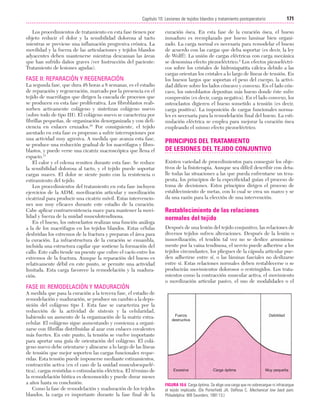 Cap. 10

23/3/06

20:36

Página 171

171
Capítulo 10: Lesiones de tejidos blandos y tratamiento postoperatorio
....................................................................................................................................................
Los procedimientos de tratamiento en esta fase tienen por
objeto reducir el dolor y la sensibilidad dolorosa al tacto
mientras se previene una inflamación progresiva crónica. La
movilidad y la fuerza de las articulaciones y tejidos blandos
adyacentes deben mantenerse mientras descansan las áreas
que han sufrido daños graves (ver Instrucción del paciente:
Tratamiento de lesiones agudas).

FASE II: REPARACIÓN Y REGENERACIÓN
La segunda fase, que dura 48 horas a 8 semanas, es el estadio
de reparación y regeneración, marcado por la presencia en el
tejido de macrófagos que dirigen la cascada de procesos que
se producen en esta fase proliferativa. Los fibroblastos reabsorben activamente colágeno y sintetizan colágeno nuevo
(sobre todo de tipo III). El colágeno nuevo se caracteriza por
fibrillas pequeñas, de organización desorganizada y con deficiencia en enlaces cruzados.10 Por consiguiente, el tejido
asentado en esta fase es propenso a sufrir interrupciones por
una actividad muy agresiva. A medida que avanza esta fase,
se produce una reducción gradual de los macrófagos y fibroblastos, y puede verse una cicatriz macroscópica que llena el
espacio.11
El calor y el edema remiten durante esta fase. Se reduce
la sensibilidad dolorosa al tacto, y el tejido puede soportar
cargas suaves. El dolor se siente junto con la resistencia o
estiramiento del tejido.
Los procedimientos del tratamiento en esta fase incluyen
ejercicios de la ADM, movilización articular y movilización
cicatrizal para producir una cicatriz móvil. Estas intervenciones son muy eficaces durante este estadio de la curación.
Cabe aplicar contrarresistencia suave para mantener la movilidad y fuerza de la unidad musculotendinosa.
En el hueso, los osteoclastos realizan una función análoga
a la de los macrófagos en los tejidos blandos. Estas células
desbridan los extremos de la fractura y preparan el área para
la curación. La infraestructura de la curación se ensambla,
incluida una estructura capilar que sostiene la formación del
callo. Este callo tiende un puente que cubre el vacío entre los
extremos de la fractura. Aunque la reparación del hueso es
relativamente débil en este punto, se permite una actividad
limitada. Esta carga favorece la remodelación y la maduración.

curación ósea. En esta fase de la curación ósea, el hueso
inmaduro es reemplazado por hueso laminar bien organizado. La carga normal es necesaria para remodelar el hueso
de acuerdo con las cargas que deba soportar (es decir, la ley
de Wolff). La unión de cargas eléctricas con carga mecánica
se denomina efecto piezoeléctrico.2 Los efectos piezoeléctricos sobre los cristales de hidroxiapatita cálcica debido a las
cargas orientan los cristales a lo largo de líneas de tensión. En
los huesos largos que soportan el peso del cuerpo, la actividad difiere sobre los lados cóncavo y convexo. En el lado cóncavo, los osteoblastos depositan más hueso donde éste sufre
compresión (es decir, carga negativa). En el lado convexo, los
osteoclastos digieren el hueso sometido a tensión (es decir,
carga positiva). La imposición de cargas funcionales normales es necesaria para la remodelación final del hueso. La estimulación eléctrica se emplea para mejorar la curación ósea
empleando el mismo efecto piezoeléctrico.

PRINCIPIOS DEL TRATAMIENTO
DE LESIONES DEL TEJIDO CONJUNTIVO
Existen variedad de procedimientos para conseguir los objetivos de la fisioterapia. Aunque sea difícil describir con detalle todas las situaciones a las que pueda enfrentarse un terapeuta, los principios de la especificidad guían el proceso de
toma de decisiones. Estos principios dirigen el proceso de
establecimiento de metas, con lo cual se crea un marco y se
da una razón para la elección de una intervención.

Restablecimiento de las relaciones
normales del tejido
Después de una lesión del tejido conjuntivo, las relaciones de
diversos tejidos sufren alteraciones. Después de la lesión o
inmovilización, el tendón tal vez no se deslice armoniosamente por la vaina tendinosa, el nervio puede adherirse a los
tejidos circundantes, los pliegues de la cápsula articular pueden adherirse entre sí, o las láminas fasciales no deslizarse
entre sí. Estas relaciones normales deben restablecerse o se
producirán movimientos dolorosos o restringidos. Los tratamientos como la contracción muscular activa, el movimiento
o movilización articular pasivo, el uso de modalidades o el

FASE III: REMODELACIÓN Y MADURACIÓN
A medida que pasa la curación a la tercera fase, el estadio de
remodelación y maduración, se produce un cambio a la deposición del colágeno tipo I. Esta fase se caracteriza por la
reducción de la actividad de síntesis y la celularidad,
habiendo un aumento de la organización de la matriz extracelular. El colágeno sigue aumentando y comienza a organizarse con fibrillas distribuidas al azar con enlaces covalentes
más fuertes. En este punto, la tensión se vuelve importante
para aportar una guía de orientación del colágeno. El colágeno nuevo debe orientarse y alinearse a lo largo de las líneas
de tensión que mejor soporten las cargas funcionales requeridas. Esta tensión puede imponerse mediante estiramientos,
contracción activa (en el caso de la unidad musculoesquelética), cargas resistidas o estimulación eléctrica. El término de
la remodelación hística es desconocido y puede durar meses
a años hasta su conclusión.
Como la fase de remodelación y maduración de los tejidos
blandos, la carga es importante durante la fase final de la

Fuerza
destructiva

Excesiva

Debilidad

Carga óptima

Muy pequeña

FIGURA 10.6 Carga óptima. Se elige una carga que no sobrecargue ni infracargue
el tejido implicado. (De Porterfield JA, DeRosa C. Mechanical low back pain.
Philadelphia: WB Saunders; 1991:13.)

 