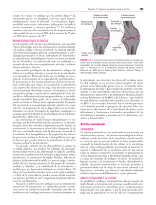 Ejercicio terapeutico recuperacion funcional
