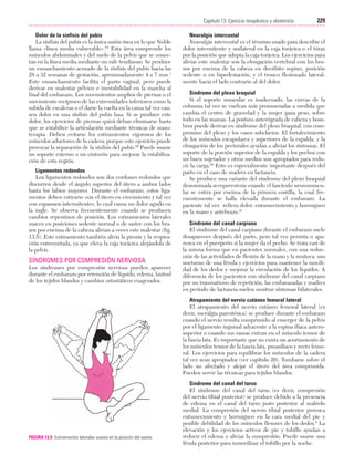 Ejercicio terapeutico recuperacion funcional