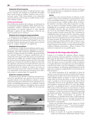 Ejercicio terapeutico recuperacion funcional