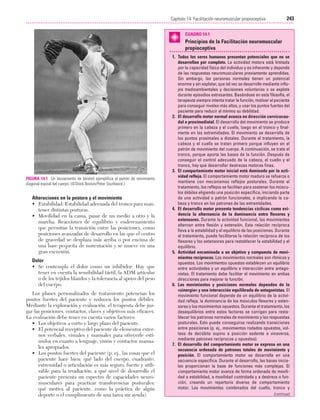 Ejercicio terapeutico recuperacion funcional