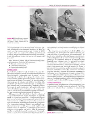 Ejercicio terapeutico recuperacion funcional