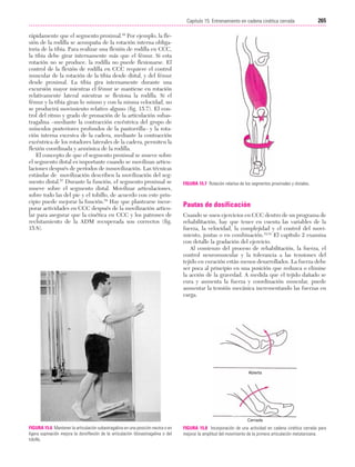 Ejercicio terapeutico recuperacion funcional