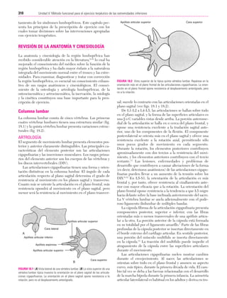 Ejercicio terapeutico recuperacion funcional