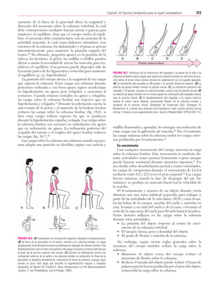Ejercicio terapeutico recuperacion funcional