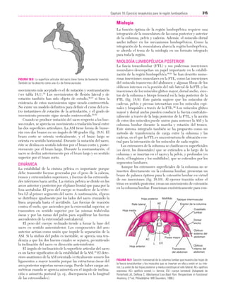 Ejercicio terapeutico recuperacion funcional
