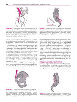 Ejercicio terapeutico recuperacion funcional
