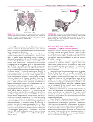 Ejercicio terapeutico recuperacion funcional