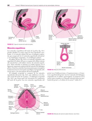 Ejercicio terapeutico recuperacion funcional