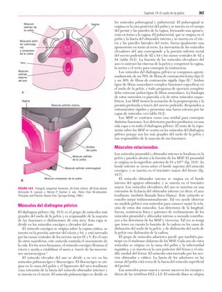 Ejercicio terapeutico recuperacion funcional