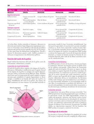 Ejercicio terapeutico recuperacion funcional