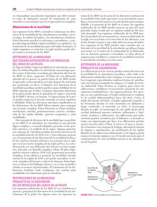 Ejercicio terapeutico recuperacion funcional