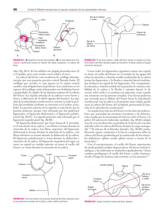 Ejercicio terapeutico recuperacion funcional