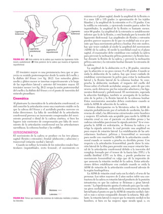 Ejercicio terapeutico recuperacion funcional