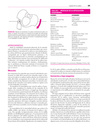 Ejercicio terapeutico recuperacion funcional