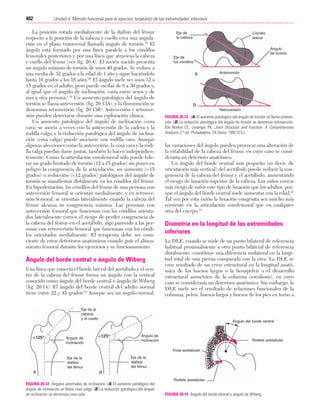 Ejercicio terapeutico recuperacion funcional