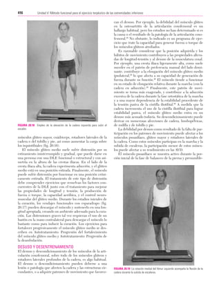 Ejercicio terapeutico recuperacion funcional