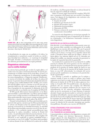 Ejercicio terapeutico recuperacion funcional