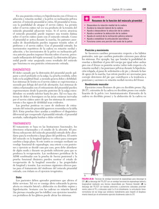 Ejercicio terapeutico recuperacion funcional