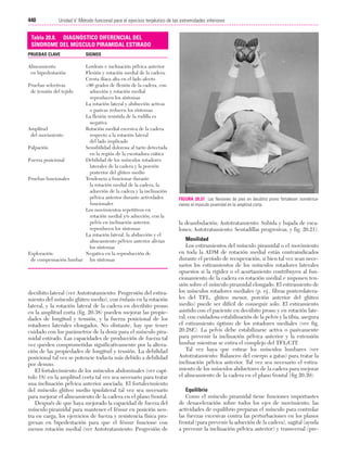 Ejercicio terapeutico recuperacion funcional